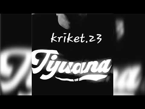 Kriket 616. Activos Y Puestos