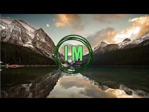 Niklas Gustavsson - Drunk Animals