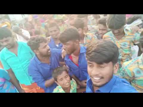 annamar pongal vila maavilakku