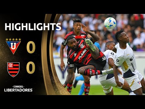 bg-highlight