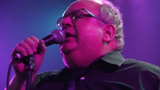 Mr. Pitiful - The Commitments (Oak Park School of Rock Adult Band)