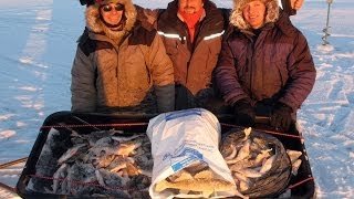 Рыбалка на рыбинском - форум
