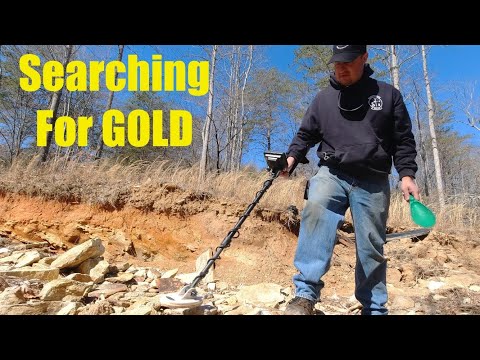 Gold Prospecting with my Metal Detector - LDMA Vein Mountain