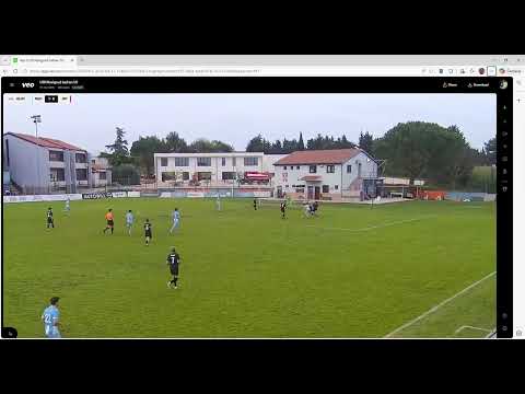 Sličica videa