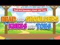 Head And Shoulders Knees And Toes Brain Breaks Jack Hartmann Body Parts Song