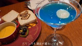 【Vlog】サプライズづくしの魔法ツアー│ハリーポッター・フクロウカフェなどを楽しむ。