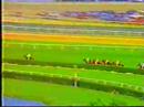 1986 Turf Classic (most)