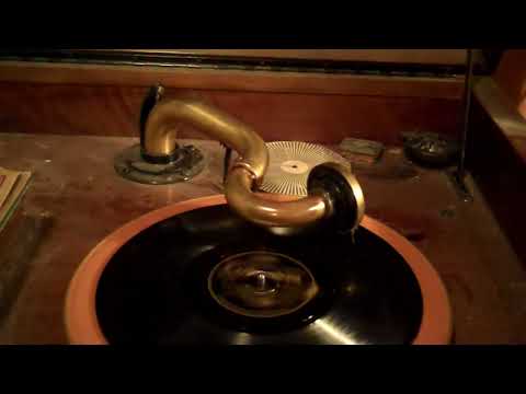 HARRY RESER'S SYNCOPATORS TOM STACKS VIVA-TONAL - MY TROUBLES ARE OVER - ROARING 20's VICTROLA 8 30