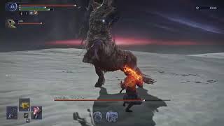 年始ナイトレイン