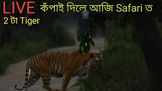 Download lagu আজি জীপ Safari ত Tiger ৰে ভয় খুৱালে | kaziranga Jeep Safari vlog | Kaziranga National Park  mp3