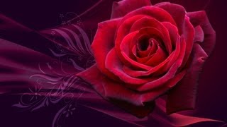 The Most Romantic Love Songs