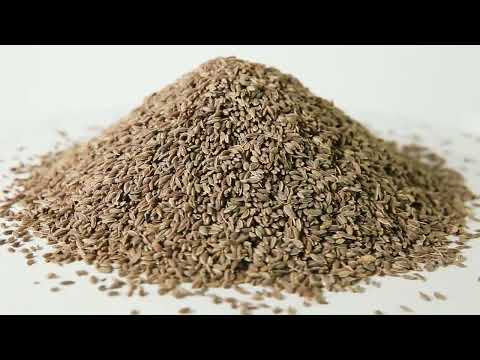 Укроп семена