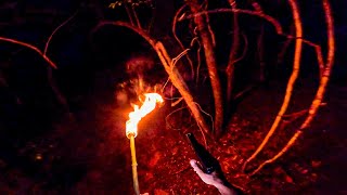 NUNCA RESPONDA NADA NA FLORESTA DE MADRUGADA - CAÇADORES DE LENDAS