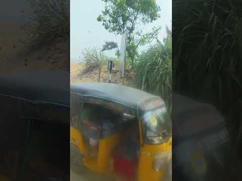 beautiful view in beach in konark #short #sanvitha