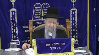 הרב בן ציון מוצפי • דוד מלך ישראל (הרב בן ציון מוצפי) - התמונה מוצגת ישירות מתוך אתר האינטרנט יוטיוב. זכויות היוצרים בתמונה שייכות ליוצרה. קישור קרדיט למקור התוכן נמצא בתוך דף הסרטון