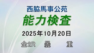 能力検査 2025年10月20日(月) 西脇馬事公苑