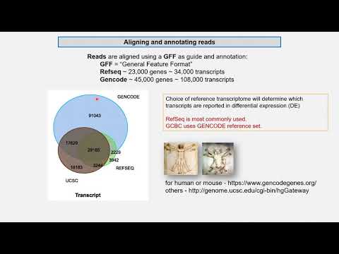 EARssentials 2021: (Brief!) Introduction to Bioinformatics