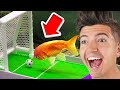 GENIUS Animals with 900 IQ DEFAULT Thumbnail