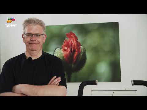 Therapiepraxis Schepp - Ulrichs Geschichte