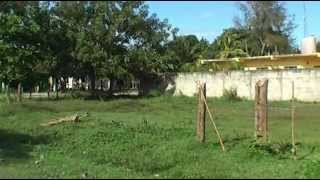 preview picture of video 'Honduras Real Estate TELA - Nice lot en Barrio Venecia'