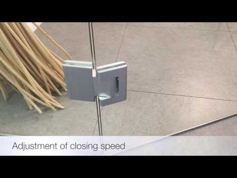 Fakta Biloba h�ngsler