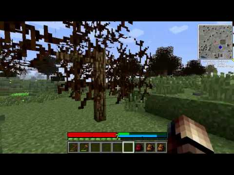 Let's Play TerraFirmaCraft - Episode 39 (Gathering/Move)