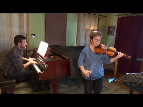 Suzuki Violin Book 4, #2: Seitz Concerto No. 5 in D, 1st mvt.