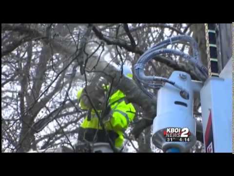 High Winds in Washington Send a Tree into a House