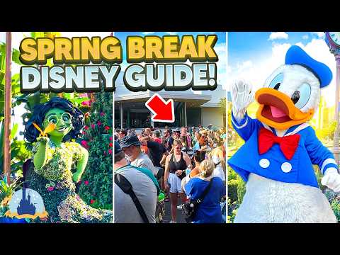 Insider Tips for SPRING BREAK AT Walt Disney World
