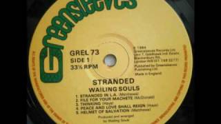 Wailing Souls & Roots Radics - Helmet of Salvation