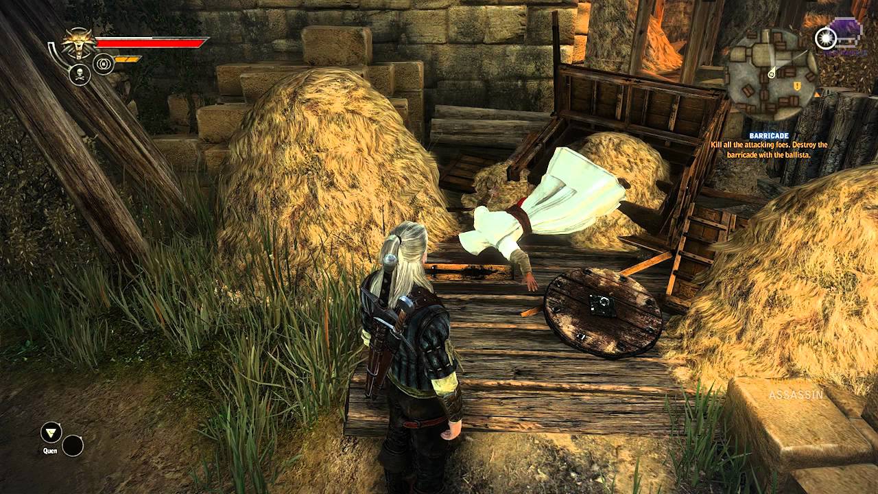 The Witcher 2 - Assassins Creed Easter Egg 