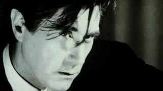 Bryan Ferry - Windswept (LYRICS) FM HORIZONTE 94.3