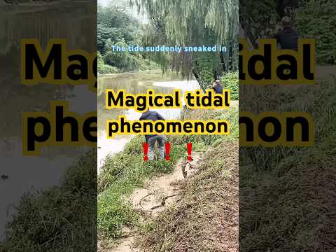 The tide always makes sneak attacks while you don't pay attention. #beach #杭州 #waves