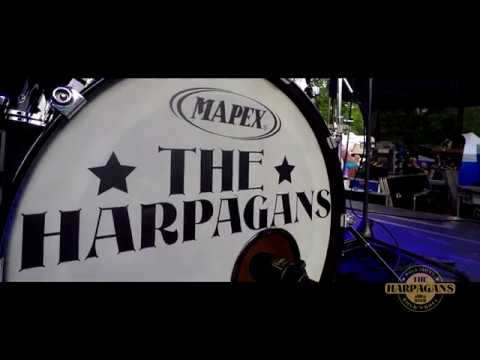 The Harpagans & Back to Big Band - Promo Live