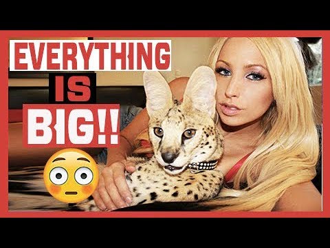 EVERYTHING IS BIG!