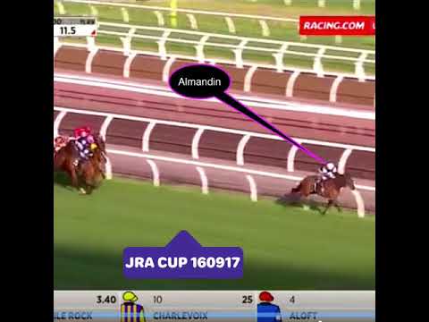 Almandin was very impressive