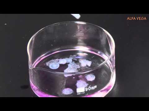 Kit nr.2 - Solutii.Concentratie in procente de masa