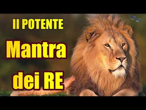 The Mantra of KINGS - Gratitude, Forgiveness, Love, Abundance to attract well-being and satisfaction