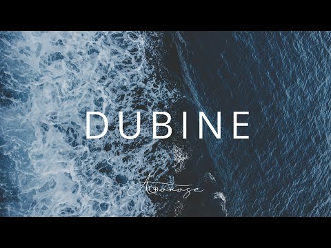 AMOROSE - DUBINE [Official video 2025]