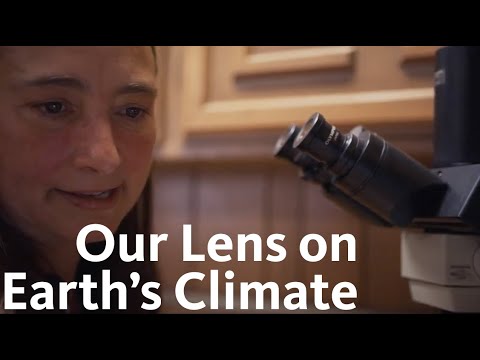 The climate clues found in LA’s Natural History Museum specimens