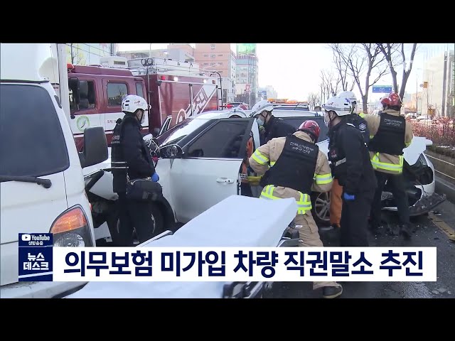 자동차 의무보험 미가입 차량 직권 말소 추진