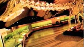 Nada - La Dosis | Sara Valenzuela Oficial