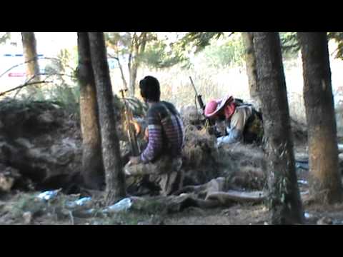 انتشار عناصر لواء البتار في بلدة البلاطة في ريف اللاذقية