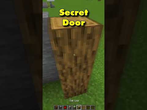 SIMPLE SECRET DOOR BUILD HACK! | Minecraft Redstone Build Hacks 🔴 😄 #shorts