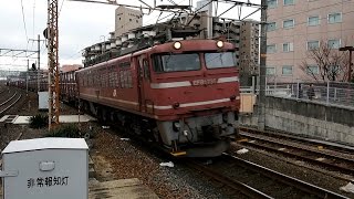 preview picture of video '2015/01/09 JR貨物 4071レ コンテナ EF81-735 茨木駅 / JR Freight: Intermodal Containers at Ibaraki'