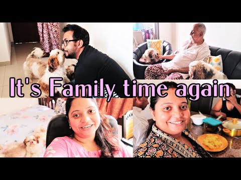 My puppies' reaction on meeting dad | It is family time again Video