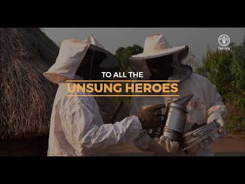 To all the unsung heroes...Thank you!