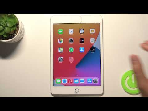 How to Enable Ringtone Volume on iPad mini 4 – Manage Ringtone Sound