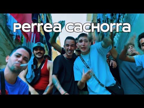 Perrea Cachorra ( Los Deceiba & @drc_wnf )