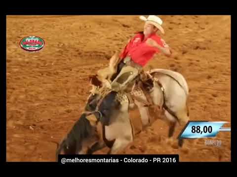 🇧🇷 Nilton Donizete Tuquinha x Cheiro de Malícia - Rodeio de Colorado 2016 #rodeio #cutiano